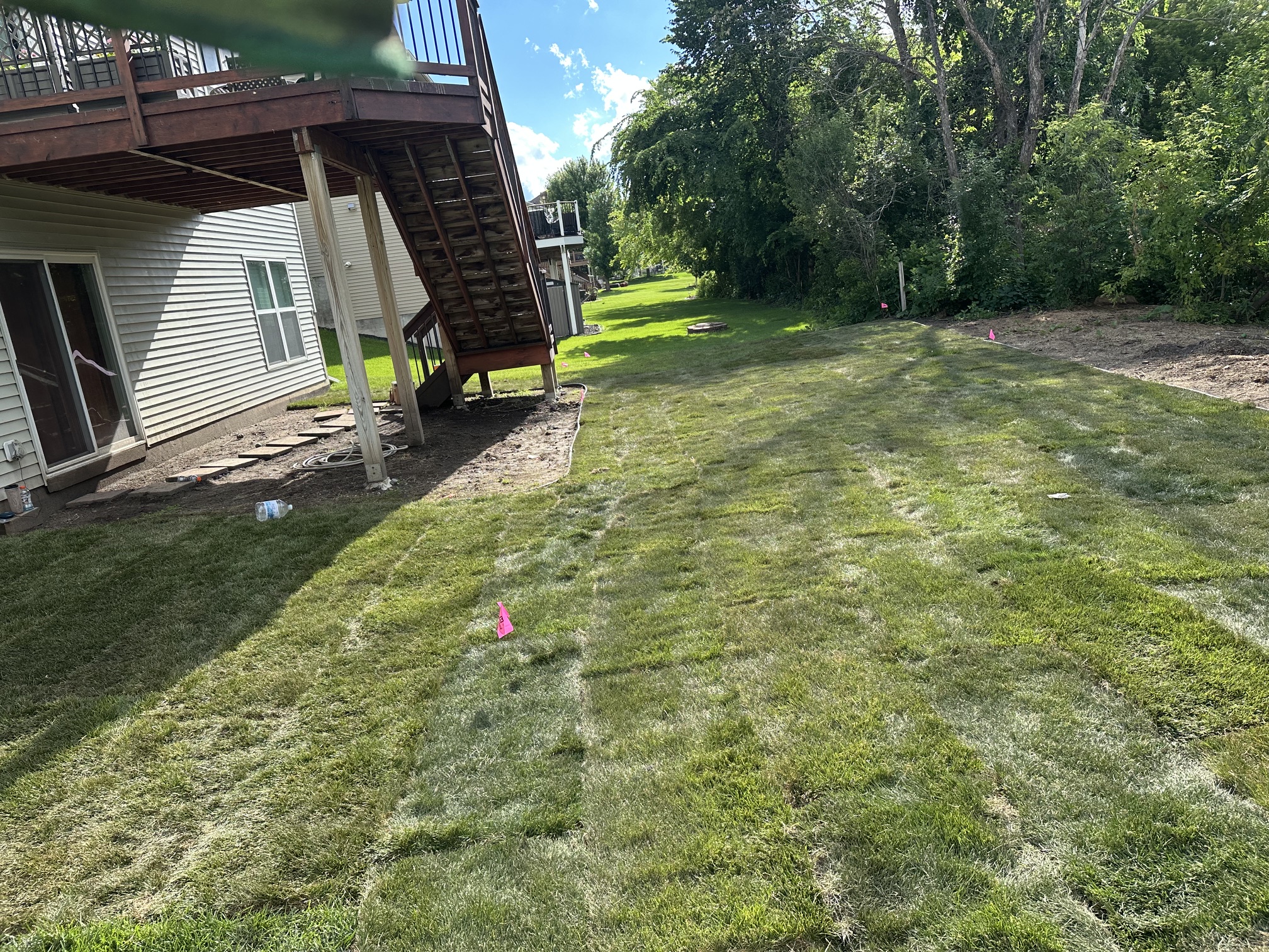Professional Sod Installation and Lawn Replacement