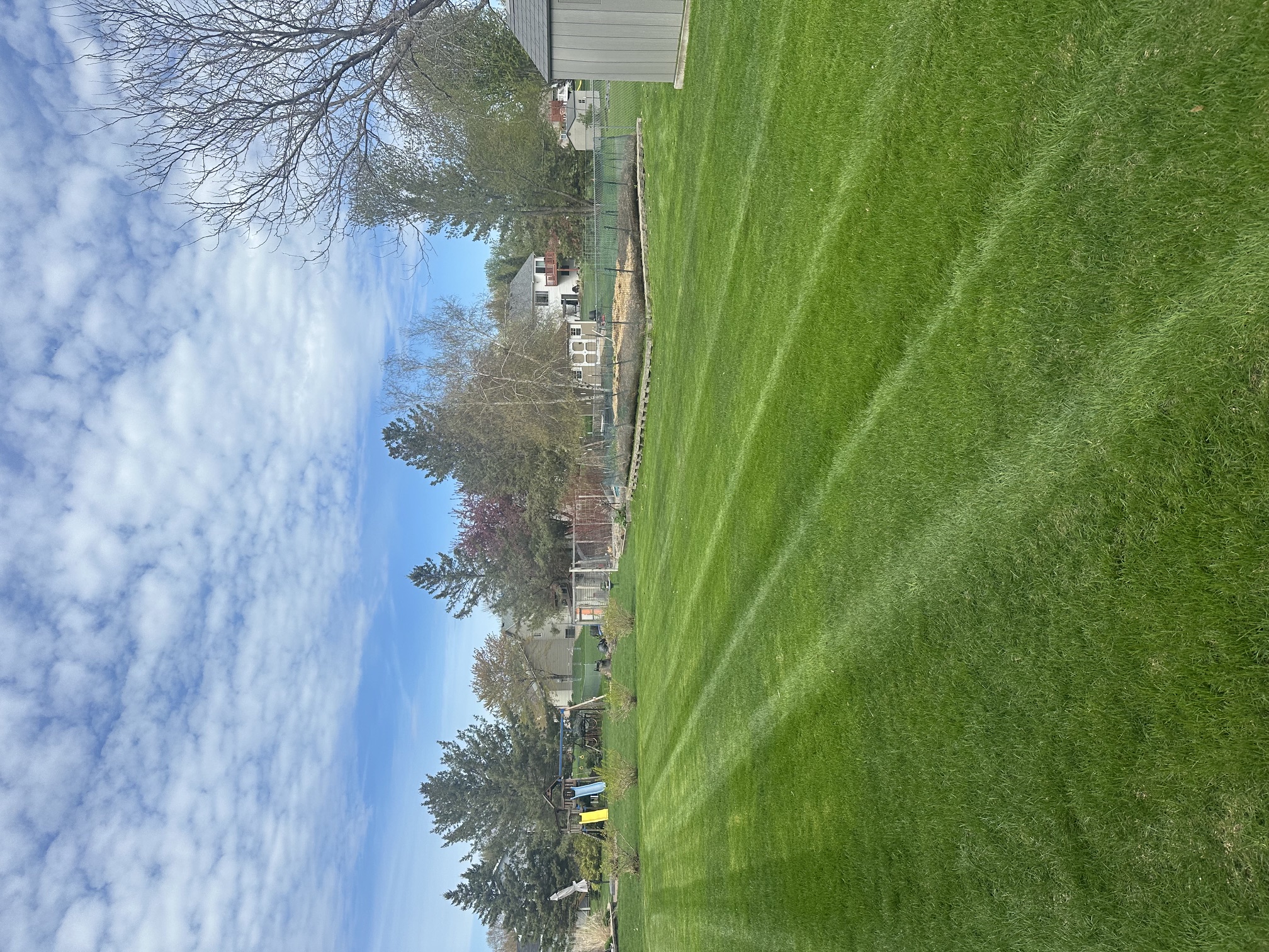 Spring Lawn Care Twin Cities
